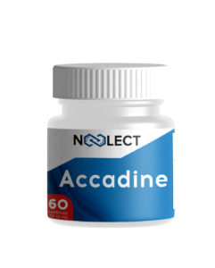 Accadine AC-262 60 капсул